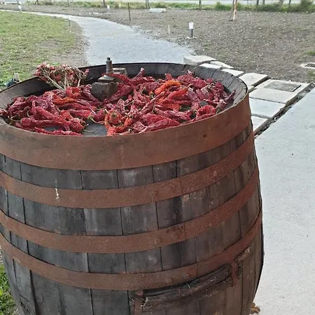 ファームステイ Taverna Ferrigno *